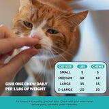 Pet Honesty Calming Chews for Cats - Cat Anxiety Relief + Helps Reduce Stress - Behavioral Support & Promotes Relaxation for Travel, Boarding, Vet Visits, Separation Anxiety - Chicken (30-Day Supply)