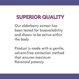 Nature's Way Sambucus Sugar-Free Elderberry Syrup, Traditional Immune Support*, 4 Oz