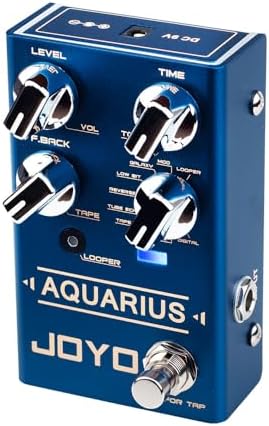 JOYO Digital Delay Effect Pedal with Looper (5 Minutes) R Series 8 Digital Delay Effects for Electric Guitar (Aquarius R-07)