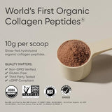 Sports Research Organic Collagen Powder - Hydrolyzed Type I & III Collagen Protein - USDA Organic, Gluten Free, Sustainably Sourced - Dark Chocolate - 30 Servings