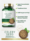 CARLYLE Celery Seed Extract Capsules 1500mg | 240 Count | Herb Supplement