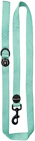 ShawnCo Dream Walk Dog Leash- Premium, Nylon Pet Leash with Soft Neoprene Handle for Small, Medium and Large Dogs (Seafoam, Medium/Large)