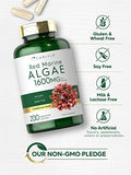 Carlyle Red Marine Algae 1600mg | 200 Capsules | Vegetarian Supplement | Non-GMO, Gluten Free