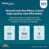 NutraCreek Sea Moss | Irish Sea Moss Capsules with Bladderwrack, Burdock Root & BioPerine for Absorption. Prebiotic & Immune Support | 90 Days Supply of Bladderwrack and Sea Moss Pills - 180 Capsules