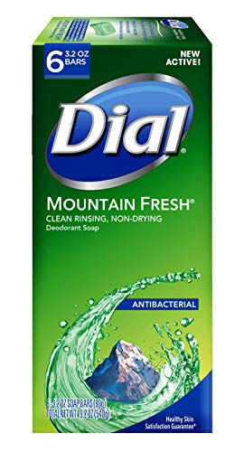 Dial Antibacterial Bar Soap, Mountain Fresh, 3.2 Ounce, 6 Bars