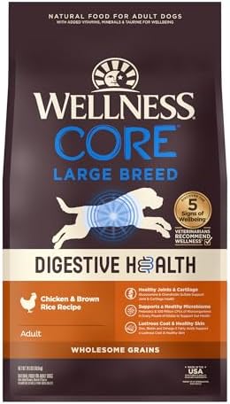 Wellness CORE Digestive Health Large Breed Chicken & Brown Rice Dry Dog Food, 24 Pound Bag