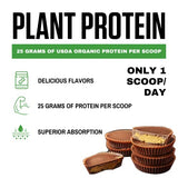 VEDGE Certified Organic Plant Protein Chocolate Peanut Butter Cup (20 Servings) - Plant-Based Vegan Protein Powder, USDA Organic, Gluten Free, Non Dairy Nutrition Plant Protein