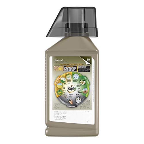 Roundup Concentrate Extended Control Weed & Grass Killer Plus Weed Preventer II