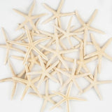 QEQEKAKA® 20 PCS Starfish for Crafts 2" to 4" Natural Starfish Decor Bulk, for Wedding Beach Theme Decor Home DIY Crafts Decor Christmas Tree Starfish Ornaments