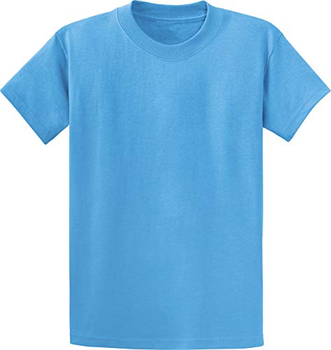 Clothe Co. Mens Heavyweight Cotton T-Shirt Plain Tee (Available in Big & Tall), Stonewashed Green, 2XL