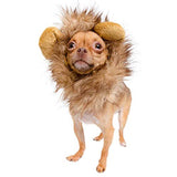 Pet Krewe Cat Lion Mane Halloween Costume – Fits Neck Size 8”-14 - Lion Costume for Small Cats and Kittens – Ideal for Halloween, Cat Birthday, Cat Cosplay, Cat Outfits, Pet Clothes