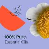 Plant Therapy KidSafe Sweet Slumber Essential Oil Blend 10 mL (1/3 oz) 100% Pure, Undiluted, Therapeutic Grade