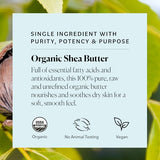 Sky Organics Organic Shea Butter, Replenishing Butter for Body & Face, Soothes, Softens and Boosts Skin's Overall Moisture and Radiance, Suitable for Dry Skin, USDA Certified Organic Skin Care, 15 Oz