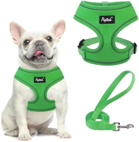 PUPTECK Soft Mesh Dog Harness and Leash Set Pet Puppy Cat Comfort Padded Vest No Pull Harnesses, Solid Green, S