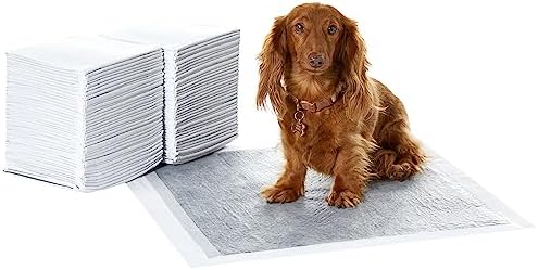 Amazon Basics Dog and Puppy Pee Pads with 5-Layer Leak-Proof Design and Quick-Dry Surface for Potty Training, Odor-Control Carbon, Regular Size, 22 x 22 Inch - Pack of 80, Gray