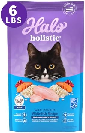 Halo Holistic Cat Food Wild Caught Salmon & Whitefish Formula, Healthy Grains Dry Cat Food, For Sensitive Stomach Support, Kibble for Adult Cats, 6 lb Bag