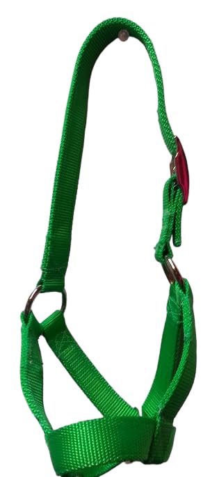 Cattle Halter Newborn Calf Yearling Cow Bull (Cow, Turquoise)