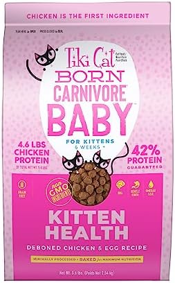 Tiki Cat Born Carnivore Baby, High-Protein and Grain-Free, Complete and Balanced Dry Cat Food for Kittens 6 Weeks+, 5.6 lbs. Bag