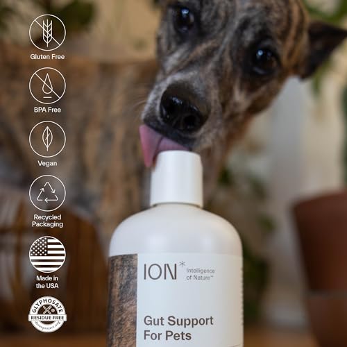 ION Intelligence of Nature Gut Support for Pets | Strengthens Digestion, Supports Kidneys, Aids Immune Function, and Defends from Food Toxins (16 Ounce)