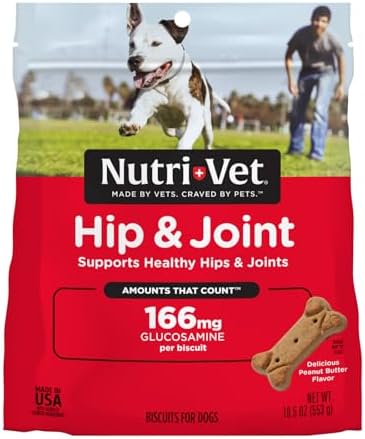 Nutri-Vet Hip & Joint Biscuits for Dogs - Tasty Dog Glucosamine Treat & Dog Joint Supplement - Small Sized Biscuit with 166mg Glucosamine - 19.5 oz - (Package May Vary)