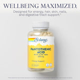 SOLARAY Pantothenic Acid 500mg - Vitamin B 5 - B Vitamin for Coenzyme-A Production, Energy Metabolism, Digestive Health, Hair Health, Skin and Nails Support - Vegan, 60-Day Guarantee - 250 VegCaps