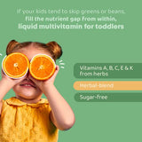 JoySpring Greens for Kids | Liquid Kids Multivitamin with Stinging Nettle Leaf, Alfalfa Leaf, Fennel Seed & More | Natural Toddler Multivitamins with whole Herbs | Sugar Free