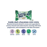 Zing Dark Chocolate Mint Kids Protein Bars, Gluten Free 100 Calorie Mini Bars with High Protein, Vegan Nutrition Bars, Dairy Free Plant Based Protein, Kosher, Low Sugar, No Sugar Alcohols-18 count