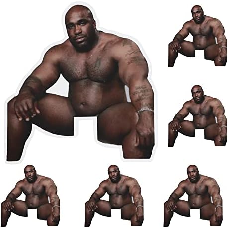 6pcs Funny Barry Wood Light Switch Sticker Decals, 4''x 4'' Waterproof Vinyl Stickers for Car, Laptop Skins, Bumper, Skateboard, Backpack, Computer, Tumblers, Phone, Stikers for Adults Women Men