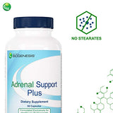 Nutra BioGenesis - Adrenal Support Plus - Pregnenolone, DHEA, Herbs & Micronutrients to Help Support Adrenal Function - 60 Capsules