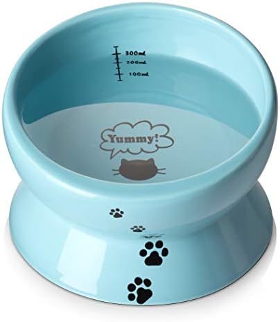 Y YHY Ceramic 15 Ounce Slanted Cat Food Water Bowl, Lake Blue