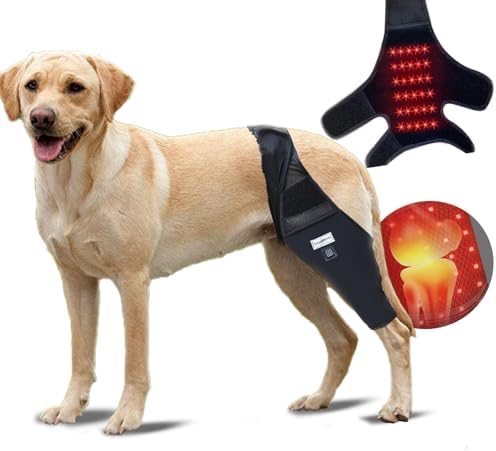 Dog Knee Brace-Red Light Therapy for Dogs Dog Knee Brace for Torn Acl Hind Leg Dog Leg Brace for Leg Wound Care and Lick Prevention Black (L)