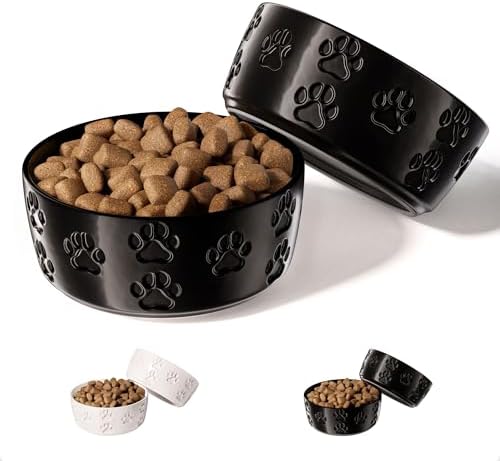 Ceramic Dog Bowl Set of 2 with Anti-Skid Base - 5" Wide x 2" Tall Ceramic Dog Bowls for Small Dogs - 2 Cup Capacity Food and Water Bowls for Dogs - Rubber Bottom Pet Bowl Set of 2 for Small Pets