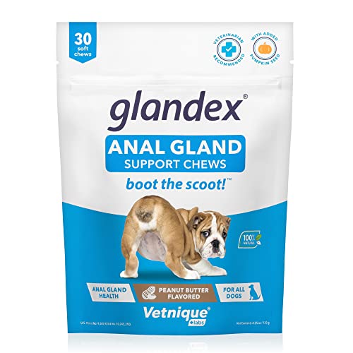 Glandex Anal Gland Soft Chew Treats with Pumpkin for Dogs Digestive Enzymes, Probiotics Fiber Supplement for Dogs Boot The Scoot (Peanut Butter Chews, 30ct)