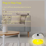 Redeo Flea Trap 2 Pack Bed Bug Traps with 4 Light Bulbs and 8 Sticky Glue Boards, Odorless Non-Toxic Flea Light Traps for Inside Your Home Safe for Kids & Pets