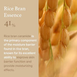 I'm from Rice Cream 1.69 Ounce, 41% Rice Bran Essence with Ceramide, Glowing Look, Improves Moisture Skin Barrier, Nourishes Deeply, Smoothening to Even Out Skin Tone, K Beauty