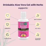 Lily Of The Desert Stomach Formula, Aloe Vera 80 Gel - Concentrated Aloe Vera Juice with Slippery Elm, Chamomile, Peppermint, and Ginger for Gut Health, Heartburn, Acid Reflux, 32 Oz (Pack of 3)