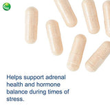 Nutra BioGenesis - Adrenal Support Plus - Pregnenolone, DHEA, Herbs & Micronutrients to Help Support Adrenal Function - 60 Capsules