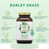 PURE SYNERGY Organic Barley Grass Juice Powder | Chlorophyll-Rich Greens Powder | Organic Cold-Pressed Barley Grass Juice | for Energy, Detox, and Digestion Support (5.3 oz. Powder)