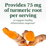 MegaFood Turmeric Gummies - Turmeric Supplement with Turmeric and Ginger and Black Pepper - USDA Organic, Vegetarian, Non-GMO - Made Without 9 Food Allergens - 40 Gummies (20 Servings) - 3 Pack
