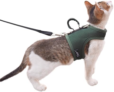Kitty Harness and Leash for Walking Escape Proof Breathable Mesh Fabric, Solid Green, Small, Adjustable Cat Walking Jackets with Handle, Padded Stylish Cat Vest