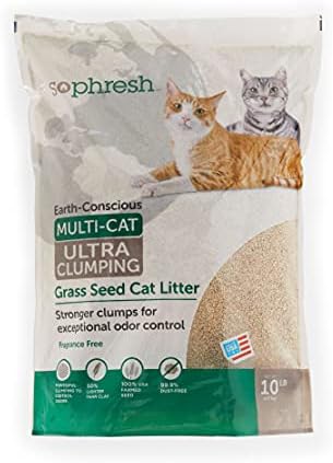 So Phresh Extreme Clumping Unscented Grass Seed Cat Litter 10 lbs.