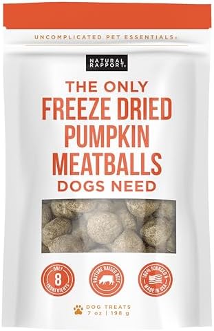 Natural Rapport Dog Treats - The Only Snacks Dogs Need - All Natural Dog Treats, No Additives All Natural Dog Treats for Large & Small Dogs (Pumpkin Meatball)