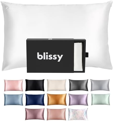 Blissy Silk Pillowcase - 100% Pure Mulberry Silk - 22 Momme 6A High-Grade Fibers - Pillow Cover for Hair & Skin - Regular, Queen & King with Hidden Zipper (Queen, Blissy White)