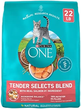 Purina ONE Natural Dry Cat Food, Tender Selects Blend with Real Salmon - 22 lb. Bag