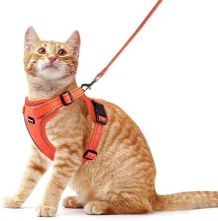 Rttochfy Cat Harness and Leash Set, Adjustable and Reflective Cat Vest, Escape Proof Kitten Harness, Easy to Put on with 3 Buckles for Cats Walking and Traveling (Orange, L)