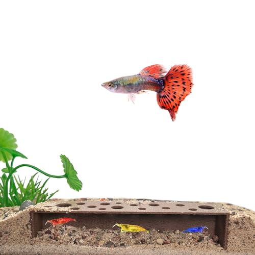 Slim Shrimp Breeding Protector | Shrimp Breeding Cave Aquarium Tunnel | CTWPets (Brown)