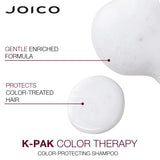 Joico K-PAK Color Therapy Color-Protecting Shampoo | For Color-Treated Hair | Boost Shine | Improve Elasticity | Repair Breakage | Rebuild Damaged Hair | With Keratin & Argan Oil | 10.1 Fl Oz