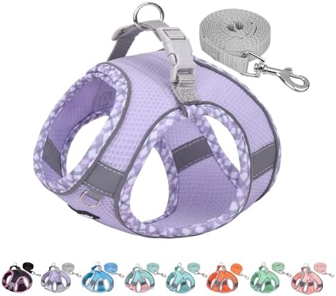 AIITLE Dog Harness Escape Proof, Spring No-Pull Dog Vest with a Leash, Breathable Mesh, Reflective Stripes, Adjustable Pet Outdoor Harnesses Puppy Essentials for Medium Dogs Purple M