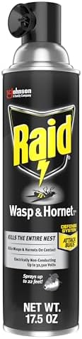 Raid Wasp and Hornet Killer (17.5 Ounce (Pack of 1))