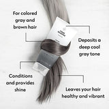 FOUR REASONS Color Mask - Graphite - (27 Colors) Toning Treatment, Color Depositing Conditioner, Tone & Enhance Color-Treated Hair - Semi Permanent Hair Dye, Vegan and Cruelty-Free, 6.76 fl oz